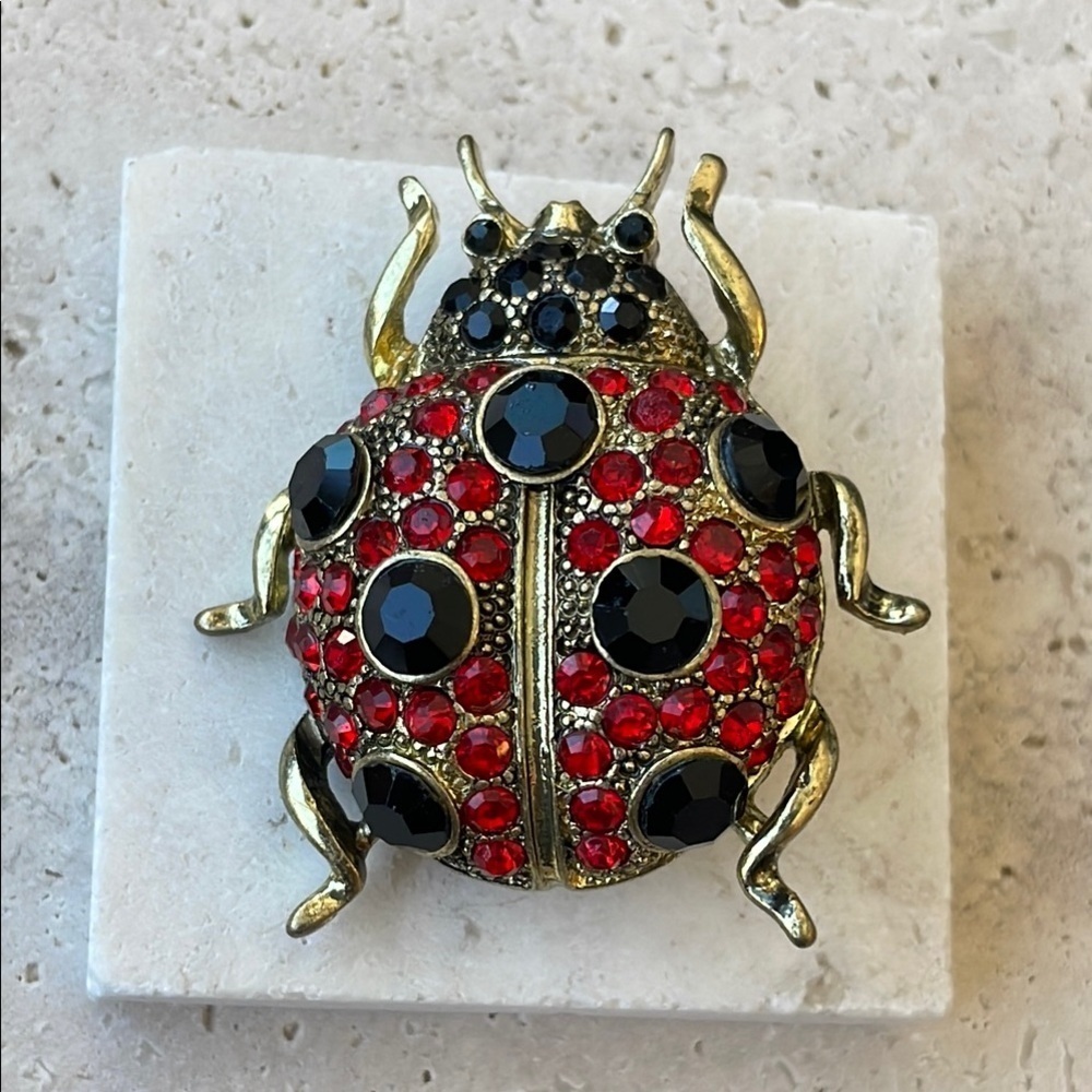 Gold and Black Ladybug Brooch